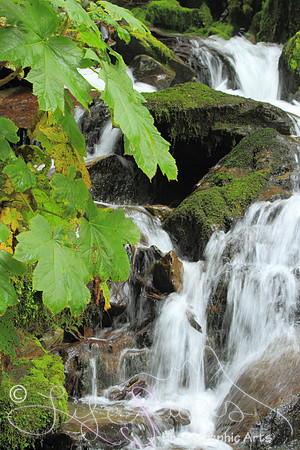IMG_8673 (2)a2