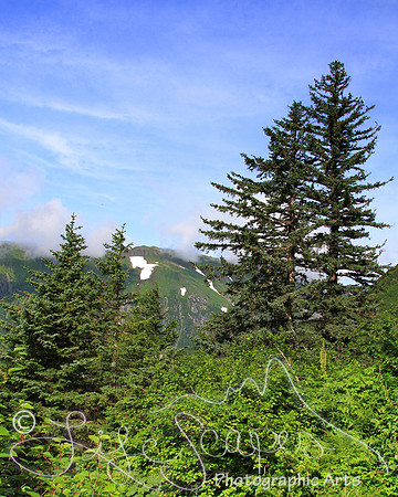 IMG_8782a