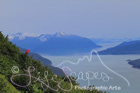 IMG_8869a2 copy