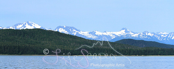 IMG_9337 15x6
