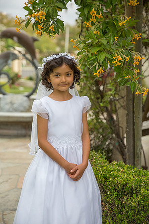 7J7A1248