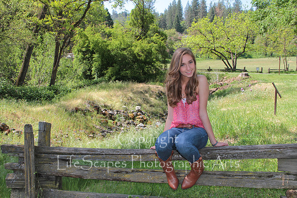 done8x12IMG_4554